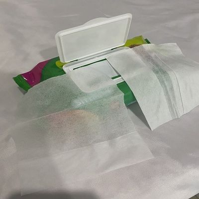 Tisu Basah Bayi Alami Hypoallergenic 60pcs Aloe Vera Tanpa Aditif Add